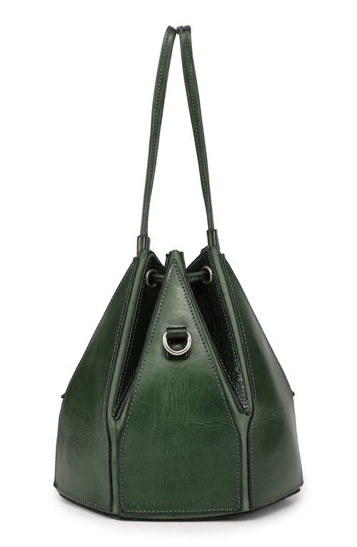 Old Trend Prism Convertible Bucket Bag In Kale