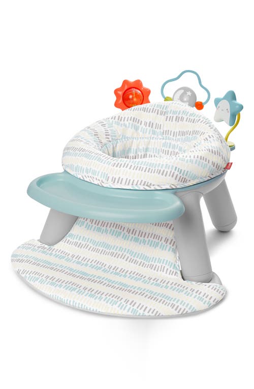 Skip Hop Baby Chair