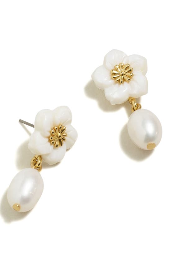 Shop Madewell Freshwater Pearl Statement Drop Earrings In Gold/freshwater Pearl