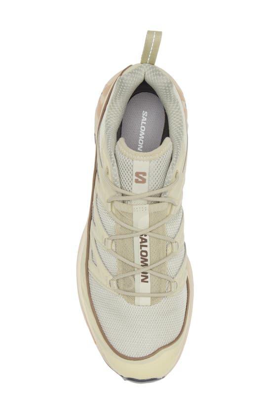 Shop Salomon Gender Inclusive Xt-6 Expanse Sneaker In Alfalfa/ Shortbread/ Aloe Wash