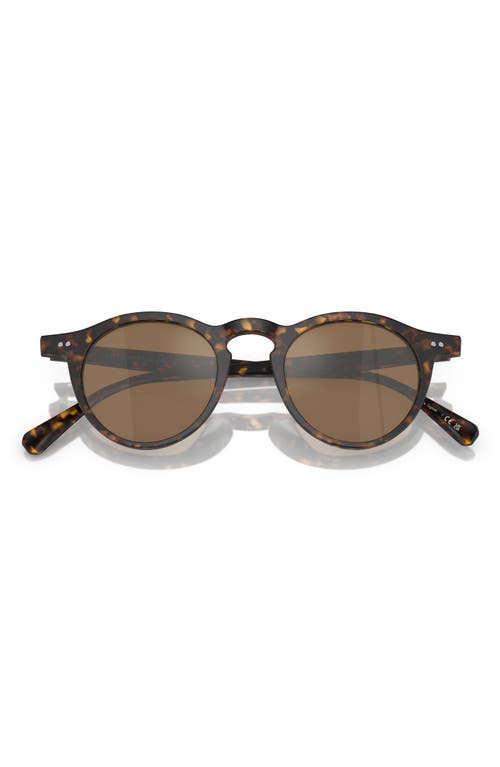 Oliver Peoples OP-13 47mm Round Sunglasses in Tortoise at Nordstrom