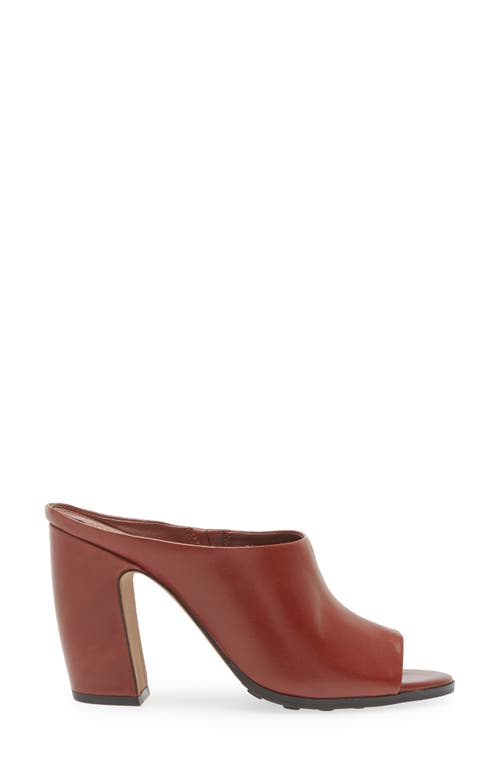 Shop Vince Camuto Brianda Open Toe Mule In Cuero Local Zenith