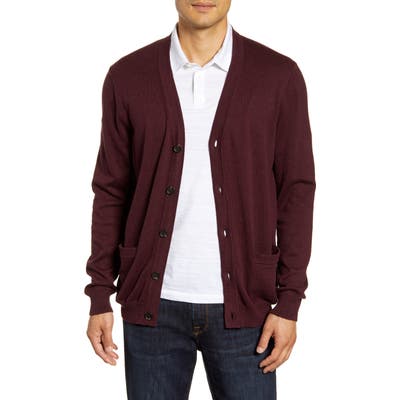 Nordstrom Shop V-Neck Cardigan