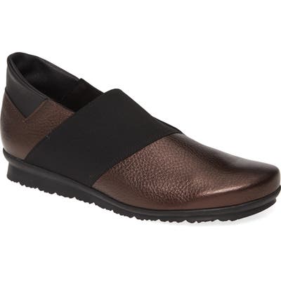 Arche Barska Water Resistant Flat, Purple