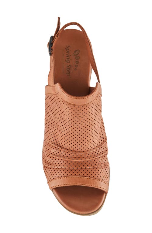 Shop Spring Step Noctium Slingback Sandal In Camel