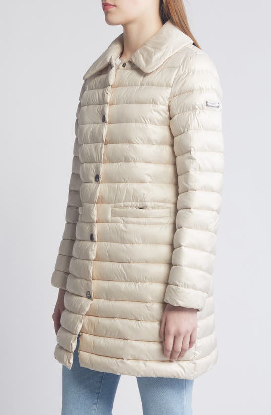 Shop Bcbgmaxazria Paneled Water Resistant Snap Front Walking Puffer Coat In Oyster