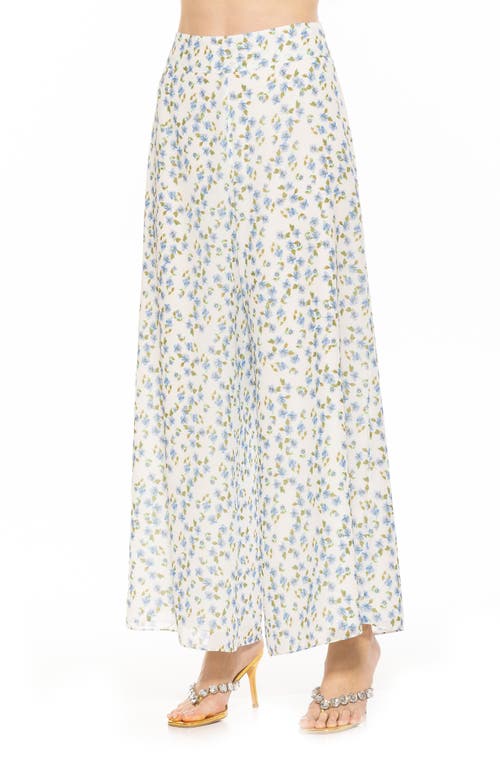 Alexia Admor Imogen Chiffon Pant In Blue Ditzy