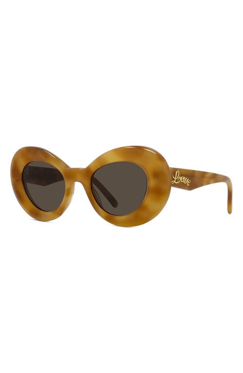 Shop Loewe Curvy 53mm Small Butterfly Sunglasses In Blonde Havana/brown