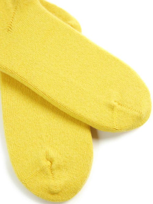 Gobi Cashmere Basic Socks In Citronelle