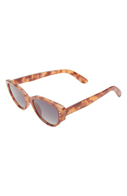 Vince Camuto 55mm Cat Eye Sunglasses In Honey Tortoise