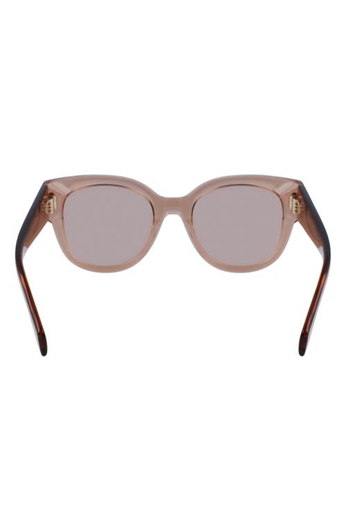 Shop Ferragamo Rivets Tea Cup 51mm Butterfly Sunglasses In Transparent Beige