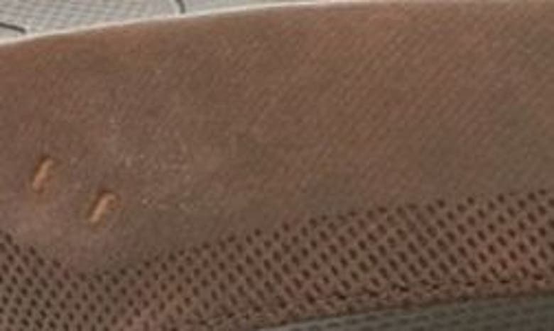 Reef Cushion Norte Flip Flop In Dark Brown