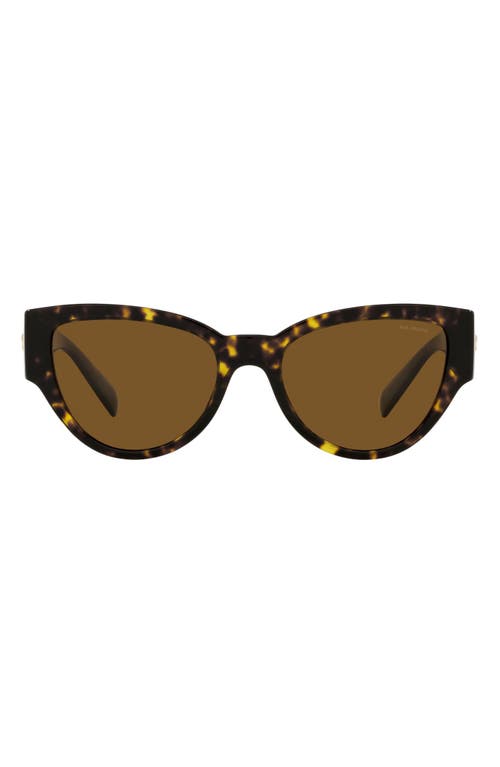 Versace 55mm Polarized Cat Eye Sunglasses In Havana/polarized Brown