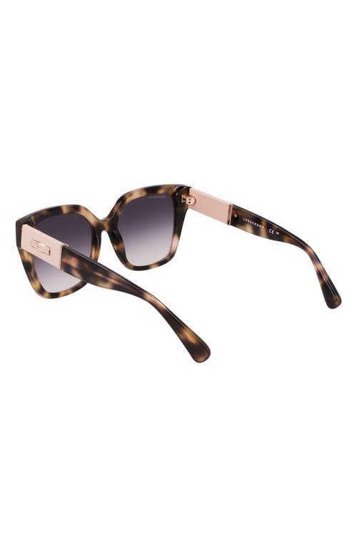 Shop Longchamp Roseau 54mm Butterfly Sunglasses In Havana