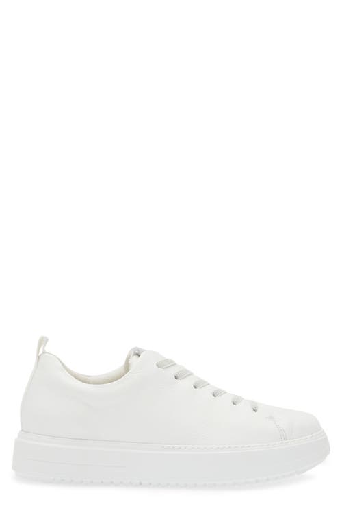 Shop Paul Green Upbeat Sneaker In White Alu Combo