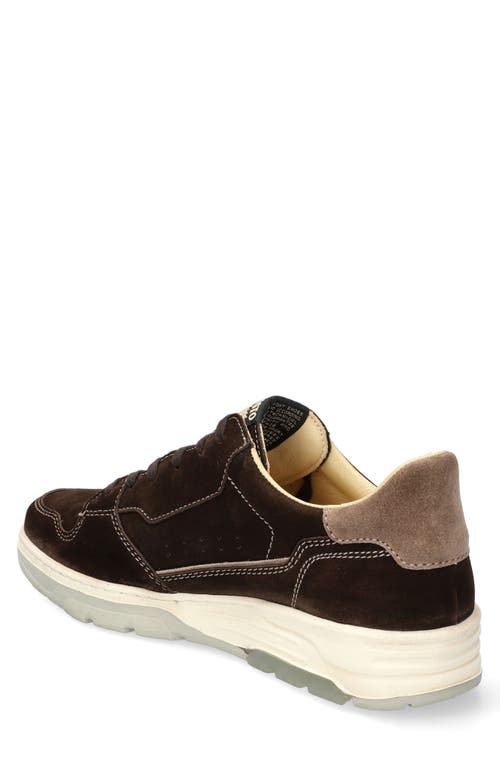 Mephisto Marius Suede Sneaker In Dark Brown