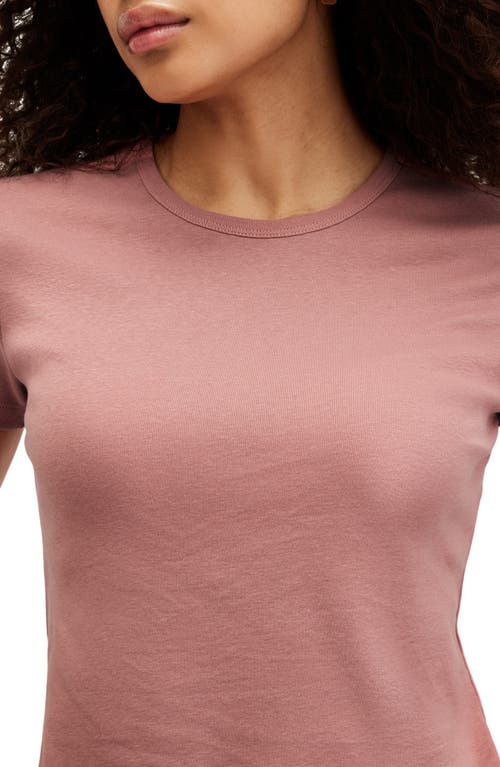 Shop Allsaints Stevie Crop Cotton Rib T-shirt In Ash Rose Pink