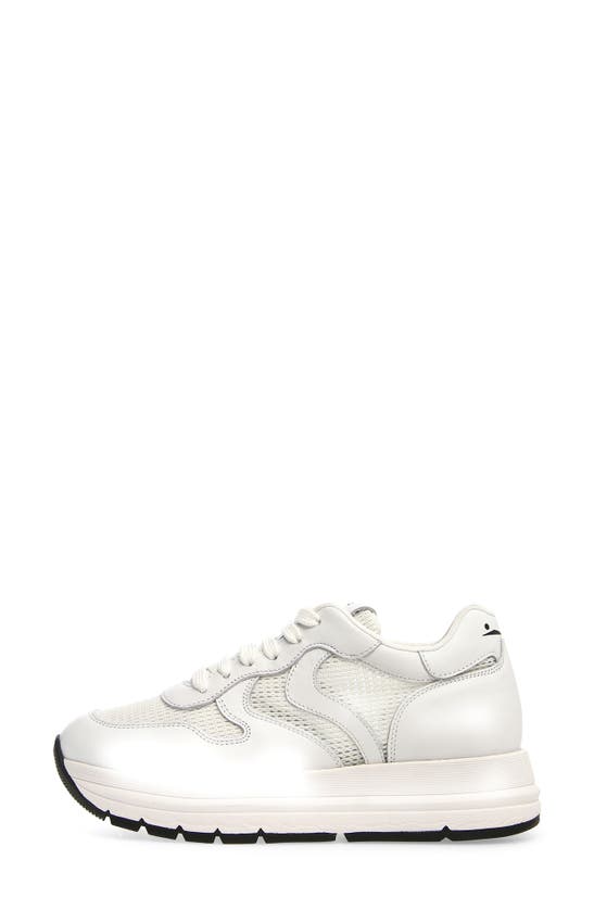 Shop Voile Blanche Maran Sneaker In White