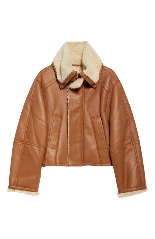 Shop Victoria Beckham Genuine Shearling Lined Leather Pea Coat In Tan/cream