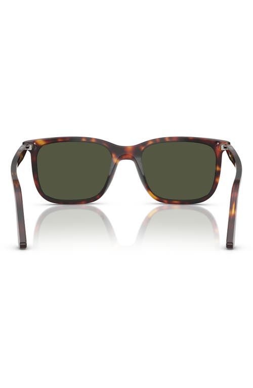 Persol 56mm Rectangular Sunglasses In Havana