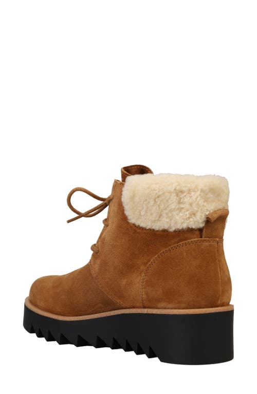 Shop Eileen Fisher Kenille Genuine Shearling Trim Wedge Bootie In Syrup