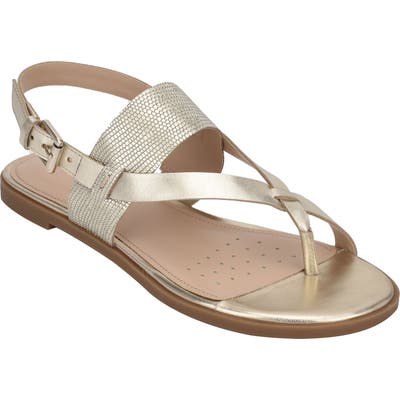 Evolve Avah Toe Loop Sandal- Metallic