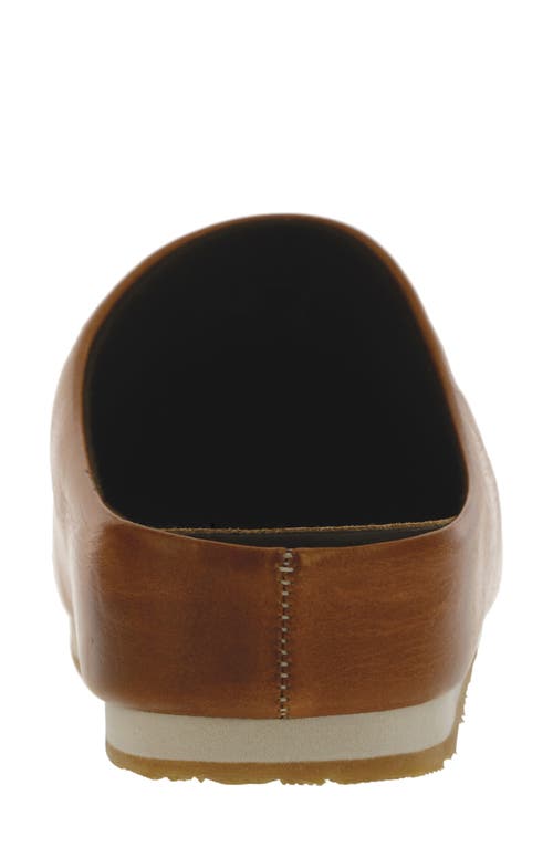 Sas Hinny Mule In Chestnut