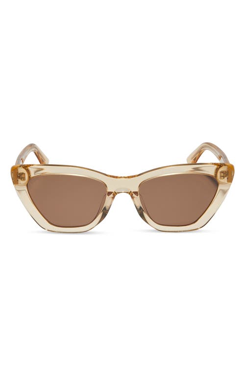 Camila 55mm Cat Eye Sunglasses in Brown