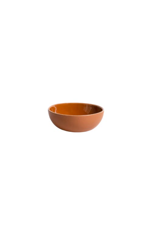 Gharyan Stoneware Stoneware Condiment Bowl Set Of 4 In Terracotta