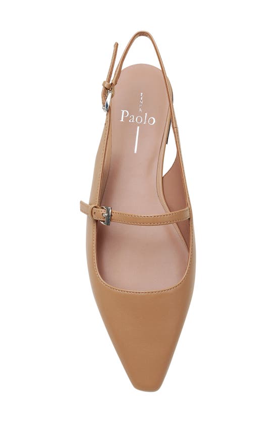Shop Linea Paolo Celeste Slingback Pointed Toe Flat In Desert