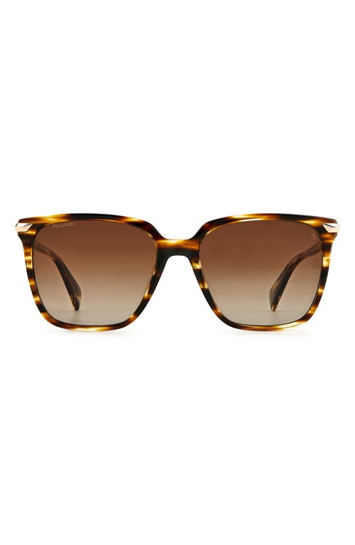 55mm Polarized Gradient Rectangle Sunglasses in Horn Brown