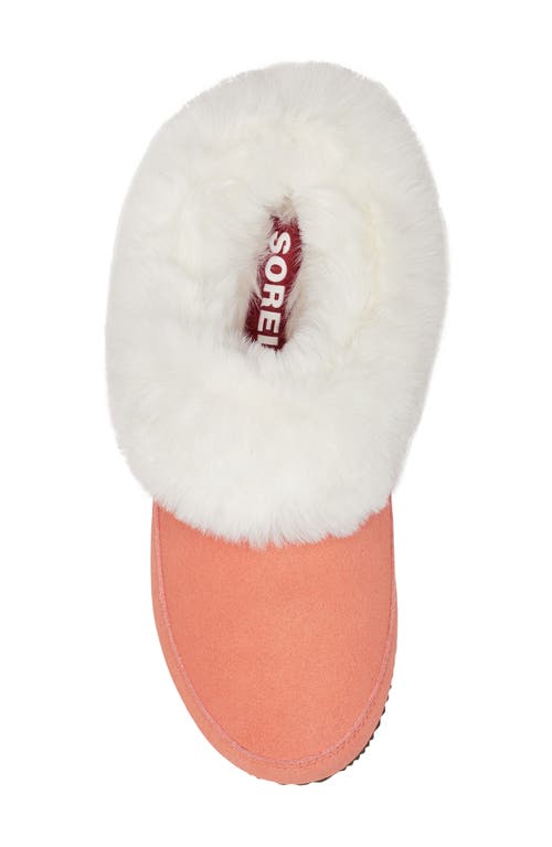 Shop Sorel Go Coffee Run Faux Fur Slipper In Paradox Pink/sea Salt