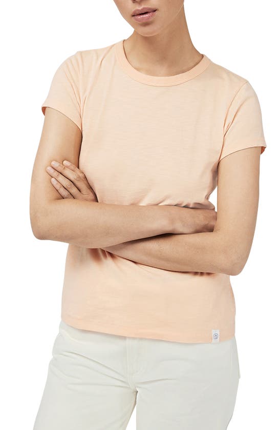 Rag & Bone The Slub Organic Pima Cotton T-shirt In Melon