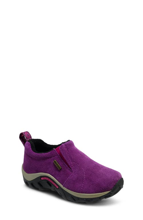 Merrell Kids' Frosty Waterproof Slip-On Sneaker Wineberry at Nordstrom, M