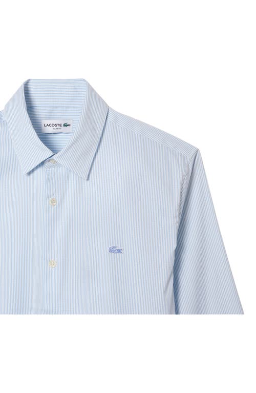 Shop Lacoste Slim Fit Pinstripe Stretch Button-up Shirt In Blanc/panorama