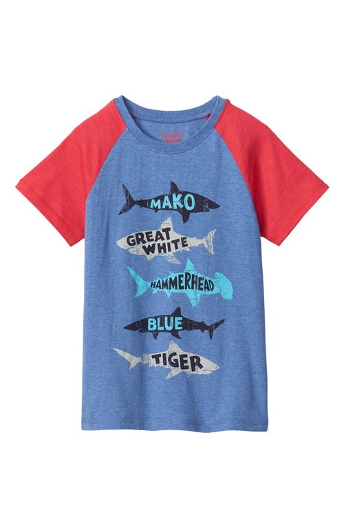 Hatley Kids' Sharks Colorblock Graphic Tee in Blue