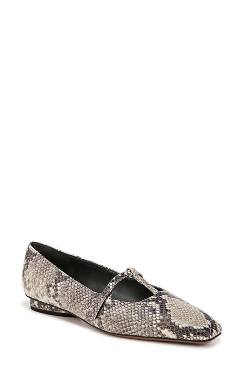 Shop Sarto By Franco Sarto Carmela Square Toe Mary Jane Flat In Grey Multi