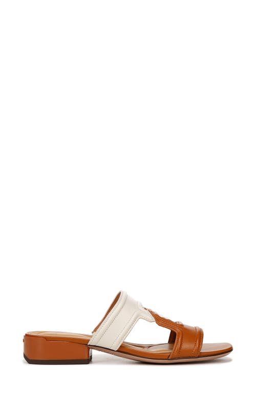 Sarto By Franco Sarto Marina Slide Sandal In Tan