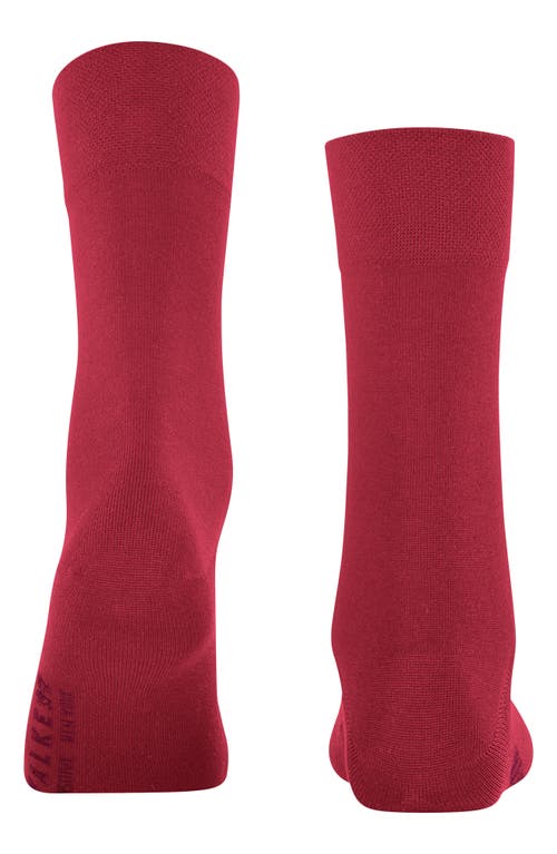 Shop Falke Sensitive New York Crew Socks In Scarlet