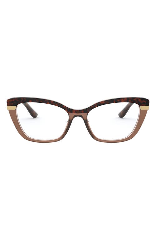 EAN 8056597183918 product image for Dolce & Gabbana 54mm Square Optical Glasses in Havana/Transparent Brown at Nords | upcitemdb.com