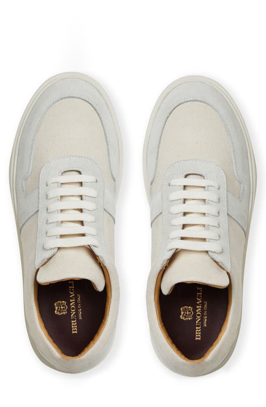 Shop Bruno Magli Darian Sneaker In Off White Canvas