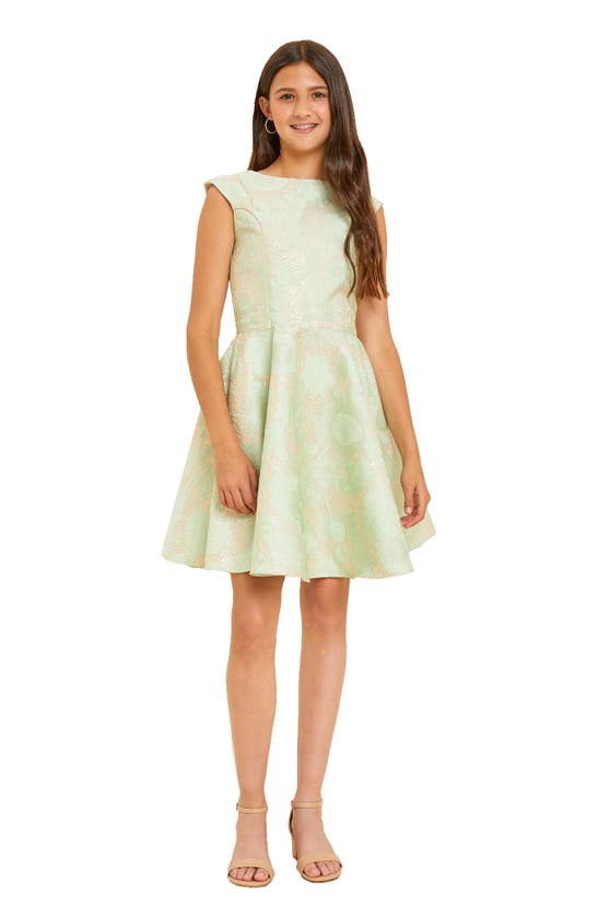 Shop Un Deux Trois Kids' Cap Sleeve Jacquard A-line Dress In Mint