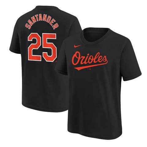 Youth Nike Anthony Santander Black Baltimore Orioles Player Name ...