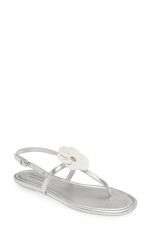 Stuart Weitzman X Sandy Liang T-strap Slingback Sandal In Silver/ White