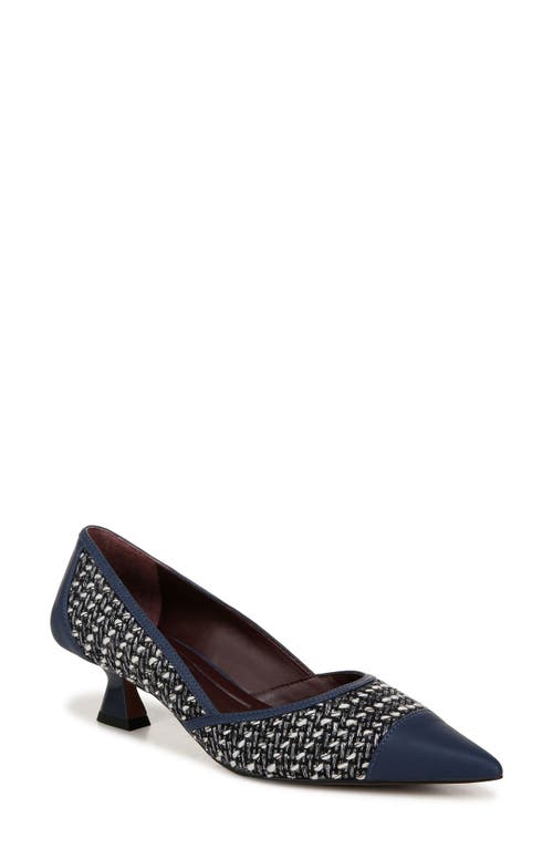 Shop Franco Sarto Darcy Pointed Toe Kitten Heel Pump In Navy