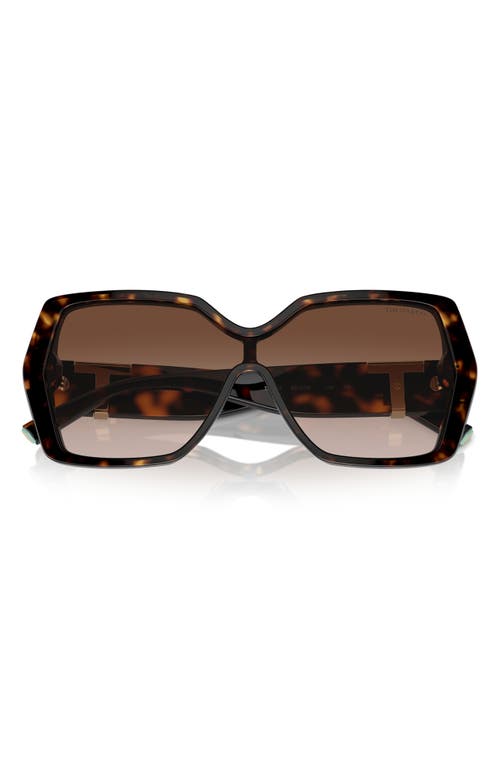 Tiffany & Co . 129mm Gradient Pillow Sunglasses In Havana