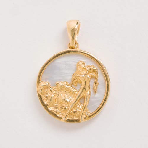 Freya Rose Zodiac Necklace In Aquarius
