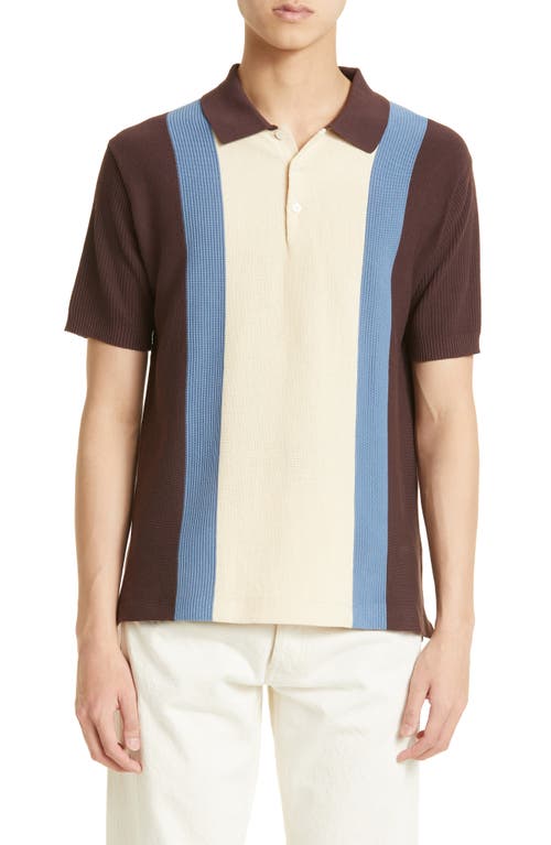 BEAMS Colorblock Short Sleeve Cotton Polo in Brown 28