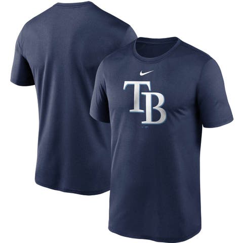 Tampa Bay Rays Nike Team Large Logo Legend Performance T-Shirt - Gray