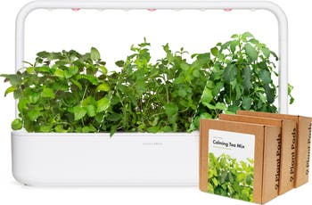 Green Herbal Tea Kit